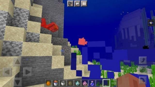 Приручение золотой рыбы