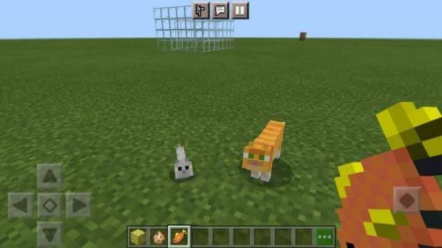 Приручение котов при помощи золотой рыбы