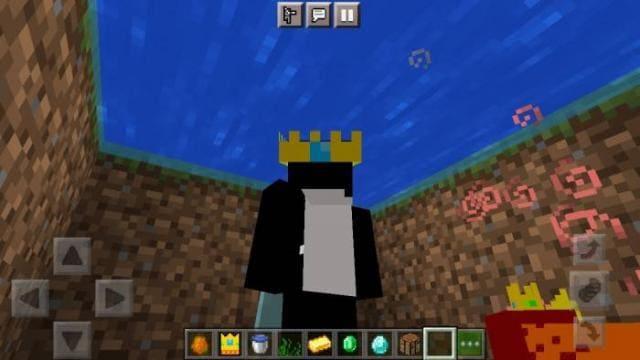 Игрок с короной золотой рыбы