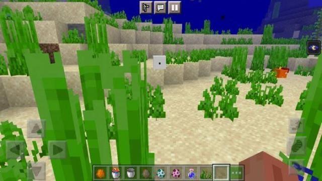 Золотая рыбка под водой