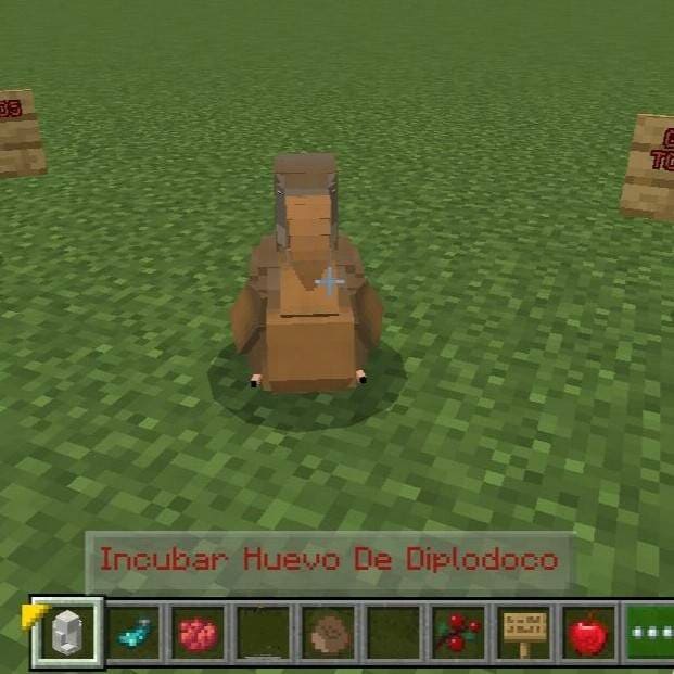 Высиживание яиц