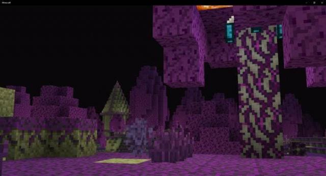 Фиолетовое измерение Края