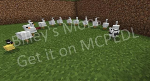 Утка-сороконожка