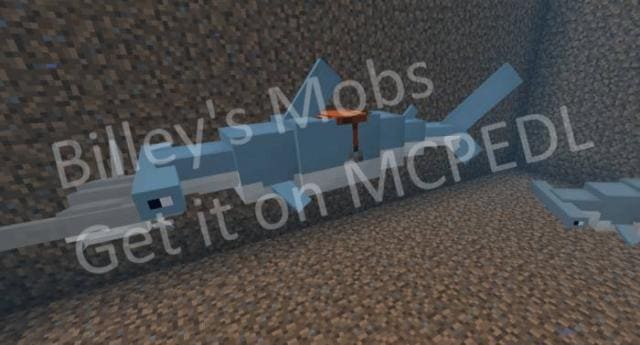 Акула-молот