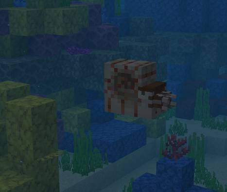 Наутилус с сундуком