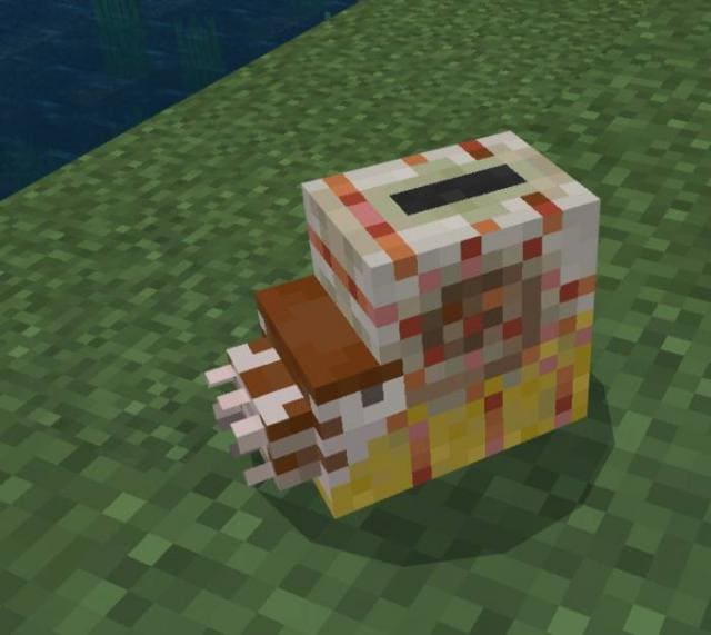 Маленький наутилус