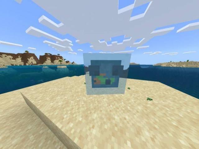 Тропический слизень