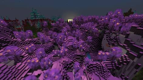 Аметриновый биом