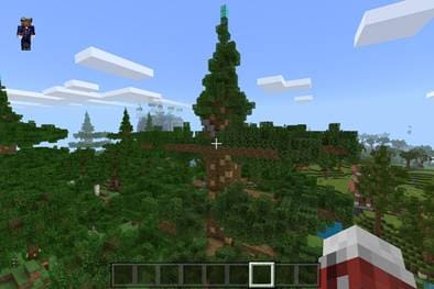 Гигантское дерево