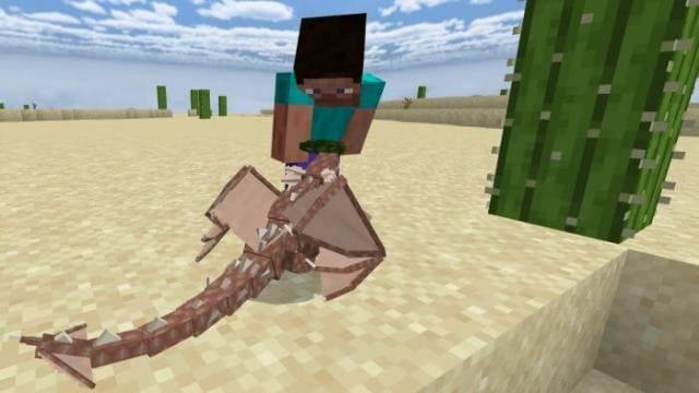 Наблюдение за песчаным драконом