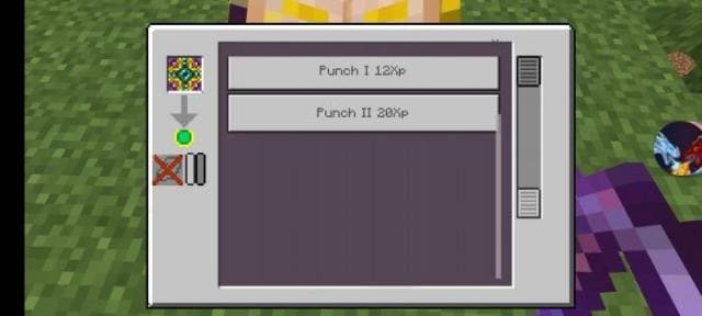 Виды зачаровывания