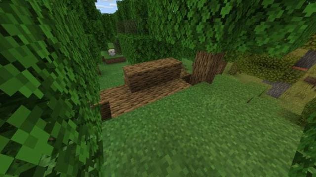 Упавшие деревья