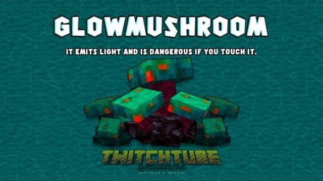 Светящийся гриб