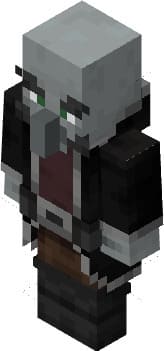 Поборник-шеф