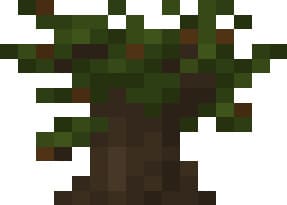 Саженец баобаба