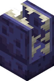 Ловушка поборника