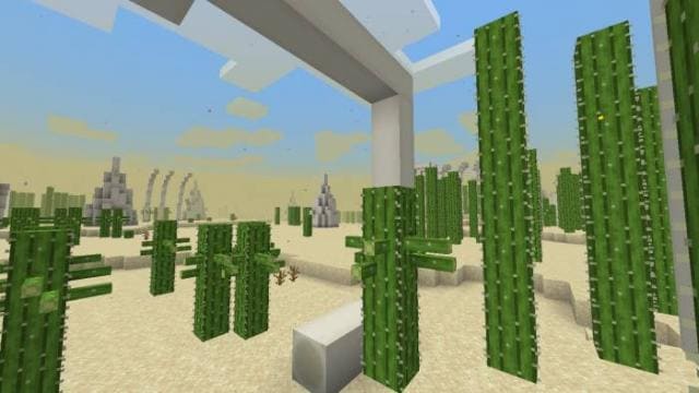 Пустыня мертвых