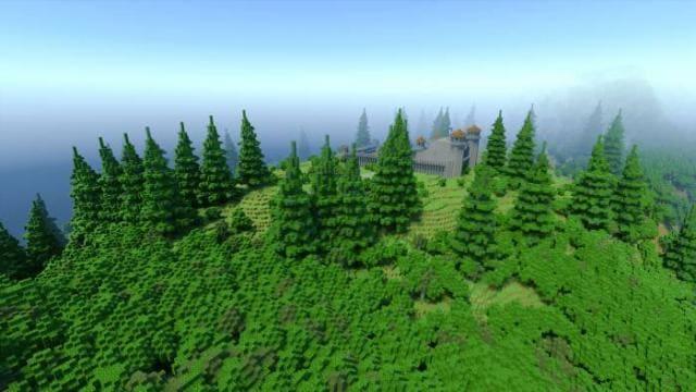 Зеленый массив кустов, травы и деревьев