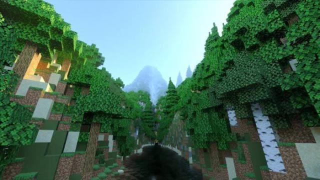 Длинное ущелье с березами по краям