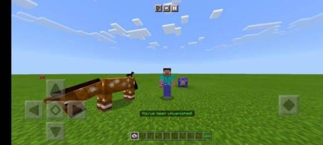 Видимый игрок