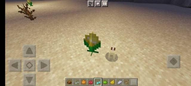 Золотой цветок