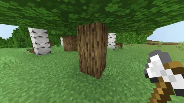 Игрок рядом с деревом