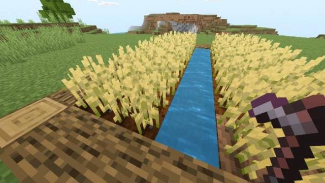 Игрок убирает пшеницу