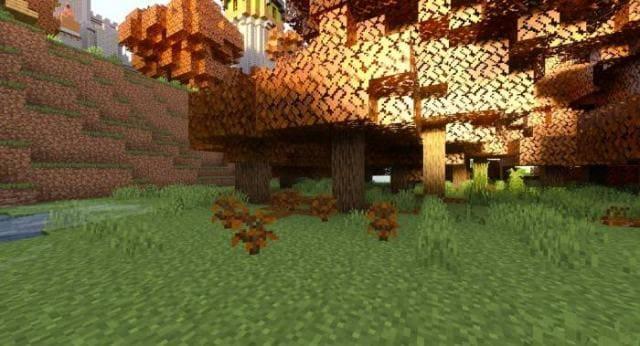 Осенние деревья