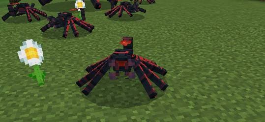 Маленький смертоносный паук