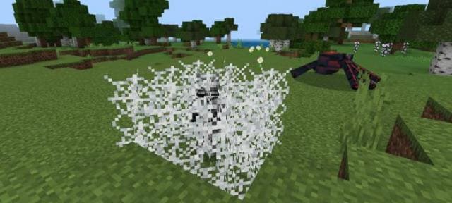 Игрок в паутине из-за паука