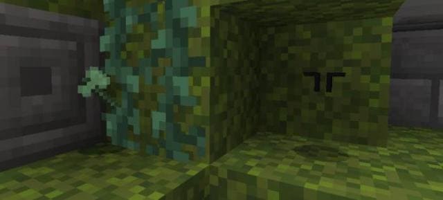 Дроп с каракала