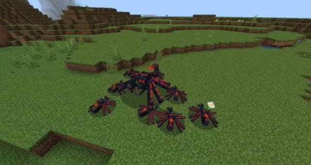 Паук и детки паука