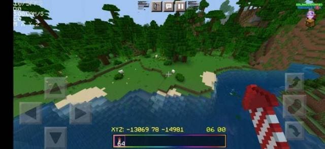 Пляж джунглей