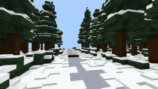 Небольшой проход внутри леса