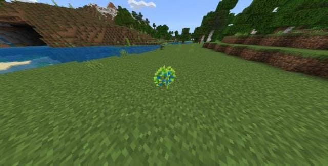 Черничный куст