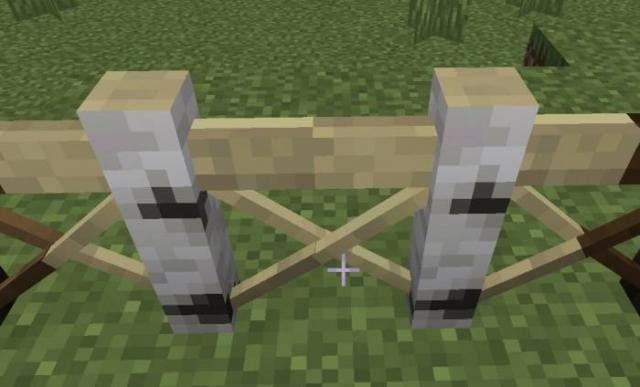 Забор из березы