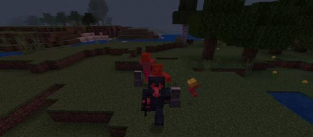 Игрок в снаряжении вызывателя