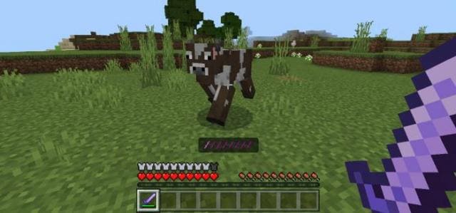 Игрок с аметистовым мечом