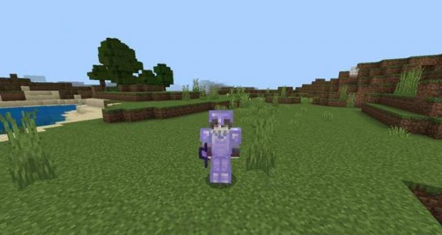 Игрок в аметистовой броне