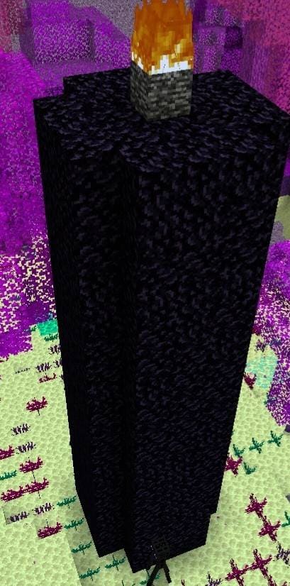 Высокая башня в измерении эндерменов