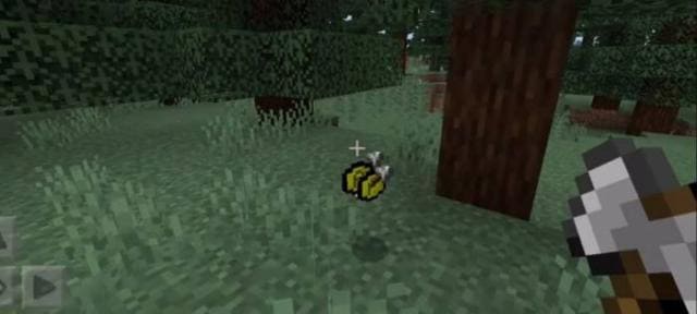 Выпавшие монеты