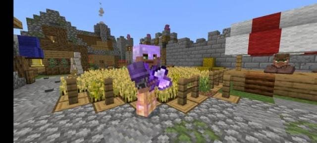 Элитный страж