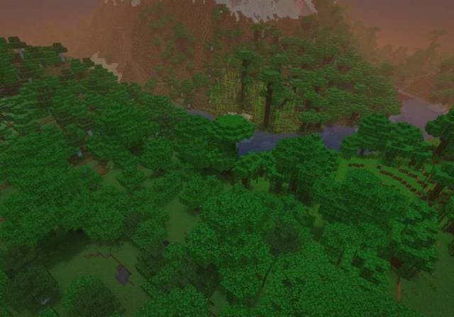 Обширный лесной массив