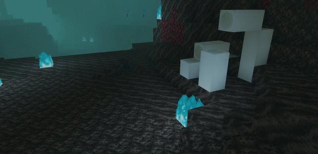 Окаменелости в биоме песка душ