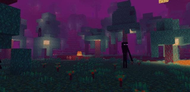 Эндермен в искаженном биоме