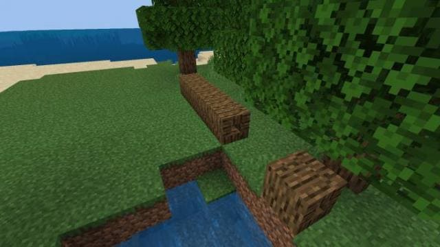 Поваленное дерево