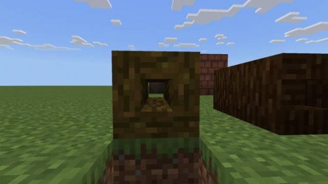 Полая древесина