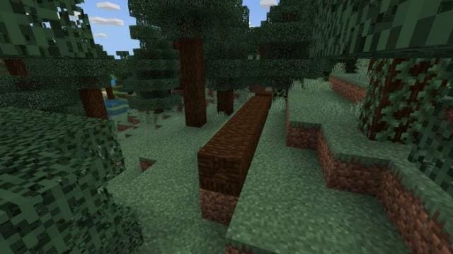 Упавшее дерево