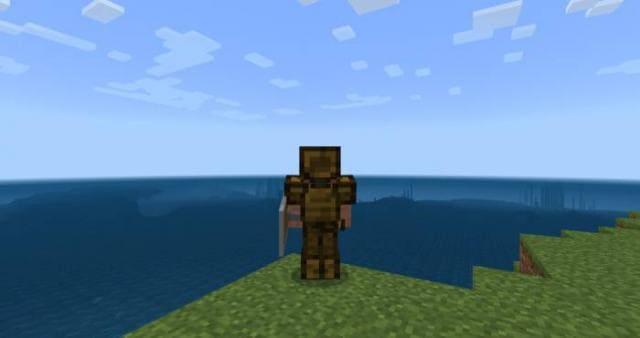 Игрок с деревянными доспехами у океана