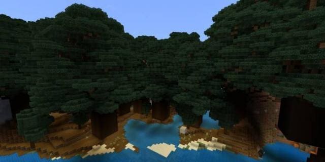 Большой лесной биом